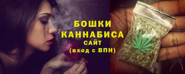 ALPHA PVP Осинники