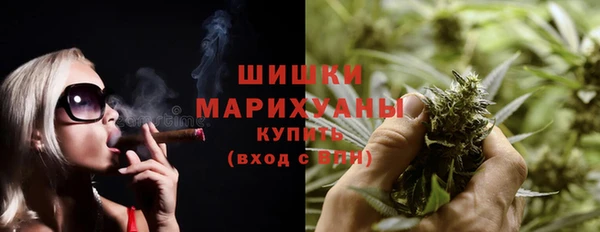 ALPHA PVP Осинники