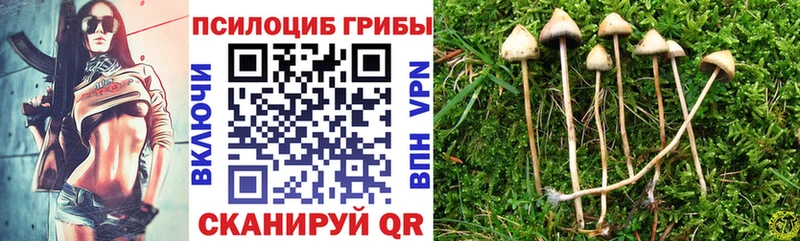 купить  цена  Очёр  Галлюциногенные грибы Magic Shrooms 